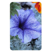 Lila Petunia Magnet (Vertikal)