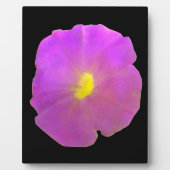 Lila Petunia Plaque Fotoplatte (Vorderseite)
