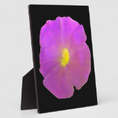 Lila Petunia Plaque Fotoplatte (Seite)