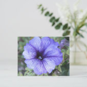 Lila Petunia Postcad Postkarte (Stehend Vorderseite)