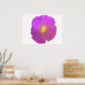 Lila Petunia Poster (Küche)