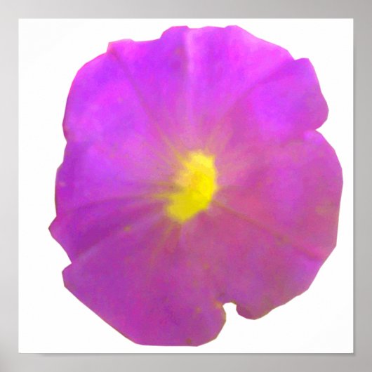 Lila Petunia Poster (Vorne)