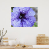 Lila Petunia Poster (Küche)