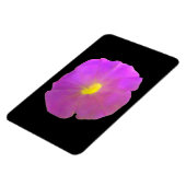 Lila Petunia Premium Magnet (Linke Seite)