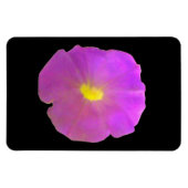 Lila Petunia Premium Magnet (Horizontal)