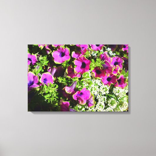 Lila Petunias Leinwanddruck (Vorderseite)