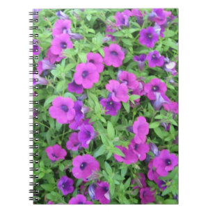 Lila-Petunias-Notebook Notizblock