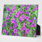 Lila Petunias Plaque Fotoplatte (Seite)