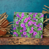 Lila Petunias Plaque Fotoplatte (Seite)