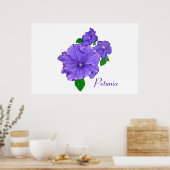 Lila Petunias Poster (Küche)