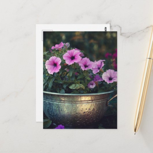 Lila Petunias Postkarte (Vorderseite/Rückseite Beispiel)