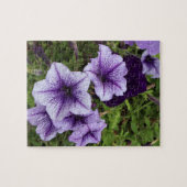 Lila Petunias Puzzle (Horizontal)