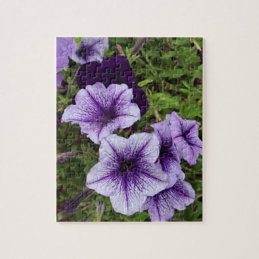 Lila Petunias Puzzle (Vertikal)
