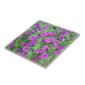 Lila Petunias Tile Fliese (Seite)