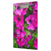 Lila Petunien Klemmbrett (Links)