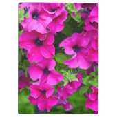 Lila Petunien Klemmbrett (Rückseite)