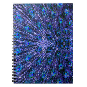 Lila Pfauenfeathers Notizblock