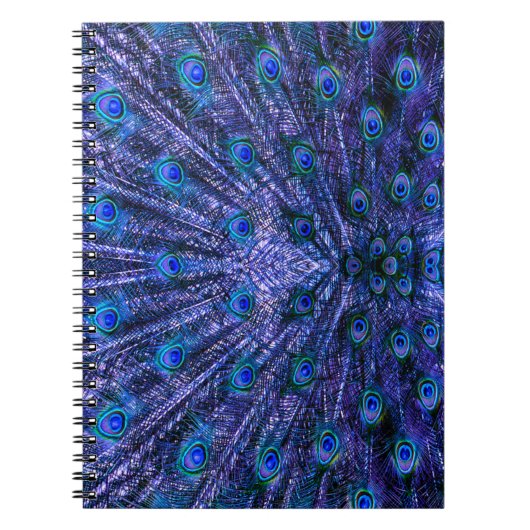 Lila Pfauenfeathers Notizblock (Vorderseite)