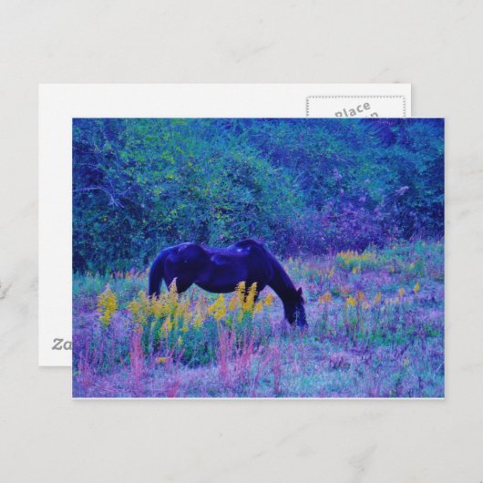 Lila Pferd im Regenbogenfeld Postkarte (Vorne/Hinten)