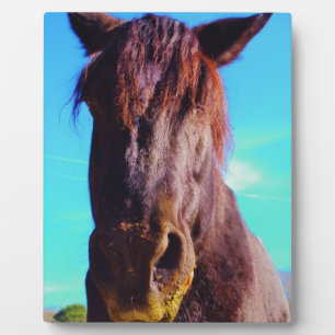 Lila Pferd mit grünem Mund Fotoplatte