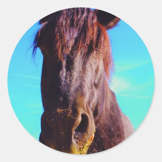 Lila Pferd mit grünem Mund Runder Aufkleber (Vorderseite)