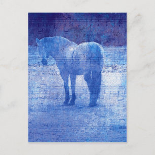 Lila Pferd Postkarte