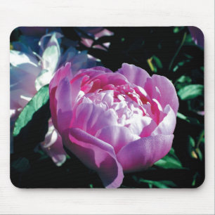 Lila Pfingstrosen-Mauspad Mousepad