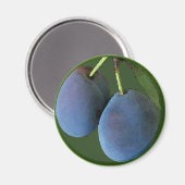 Lila Pflaumen Wasserfarbe - Magnet (Vorderseite/Rückseite)