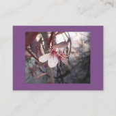 Lila Pflaumenblut Visitenkarte (Vorderseite)