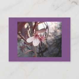 Lila Pflaumenblut Visitenkarte