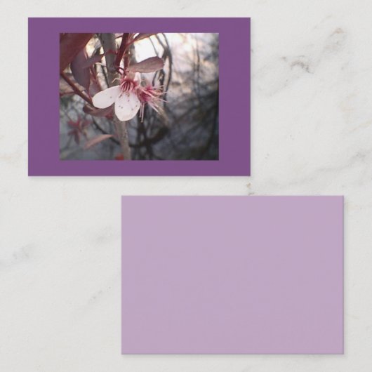 Lila Pflaumenblut Visitenkarte (Vorne/Hinten)