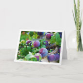 Lila Pflaumenportrait Karte (Vorderseite)