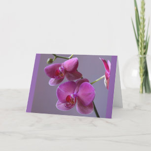 Lila Phalaenopsis orchid-Grußkarte Karte