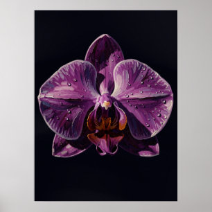 Lila Phalaenopsis-Orchideen-Finest-Kunst-Druck, Du Poster