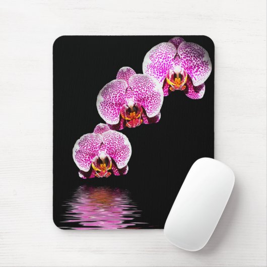 Lila Phalaenopsis Orchideen Reflections Mousepad (Mit Mouse)