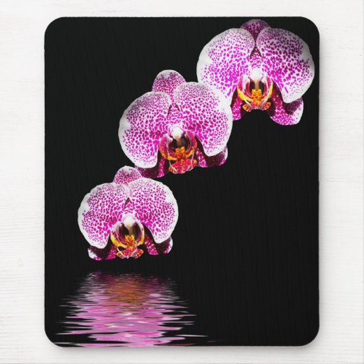 Lila Phalaenopsis Orchideen Reflections Mousepad (Vorne)