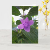 Lila Philippine Violet Karte (Gelbe Blume)