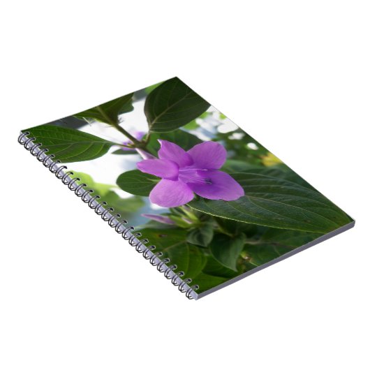Lila Philippine Violet Notizblock (Rechte Seite)