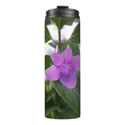 Lila Philippine Violet Thermosbecher (Vorderseite)
