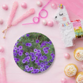 Lila Phlox-Blume auf einer Pappteller (Party)