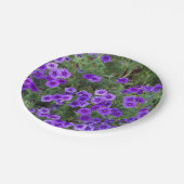 Lila Phlox-Blume auf einer Pappteller (Schrägansicht)