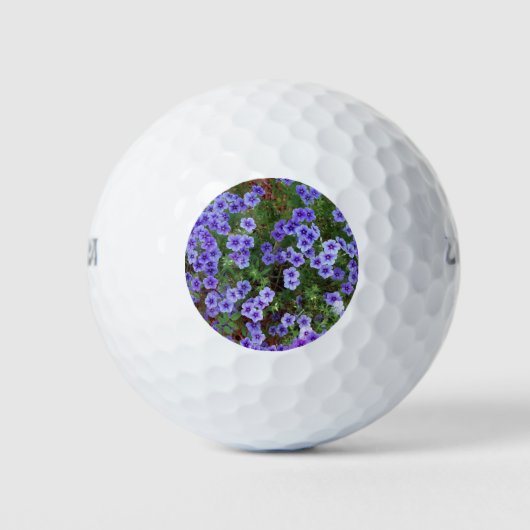 lila phlox-Blume Golfball (Vorderseite)