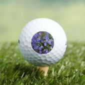 lila phlox-Blume Golfball (Insitu T-Shirt)