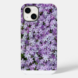 Lila Phlox-Blume iPhone 14 Hülle