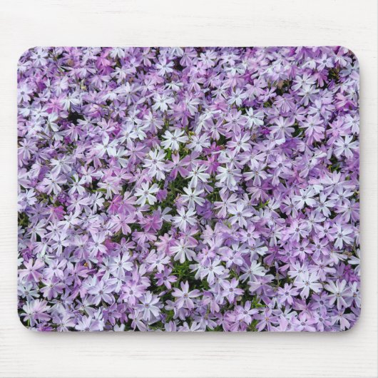 Lila Phlox-Blume Mousepad (Vorne)
