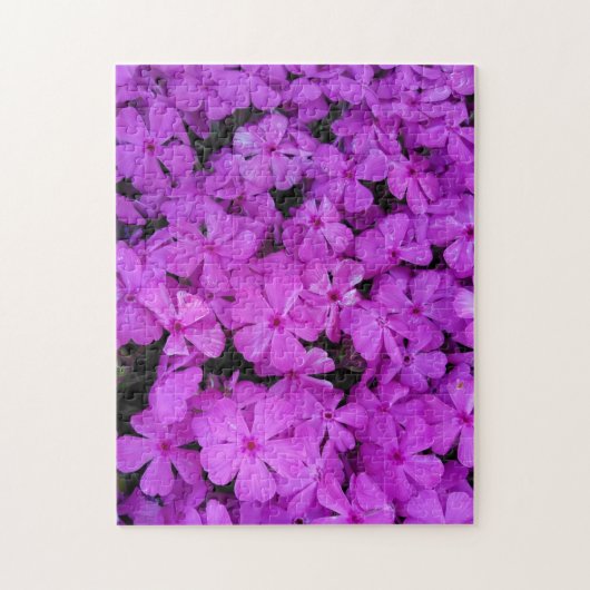 Lila Phlox-Blume Puzzle (Vertikal)