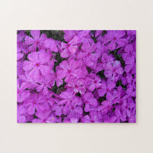 Lila Phlox-Blumen Puzzle
