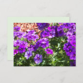 Lila Phlox Floral Dankeschön Karte (Vorne/Hinten)