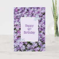 Lila Phlox für den 91. Geburtstag