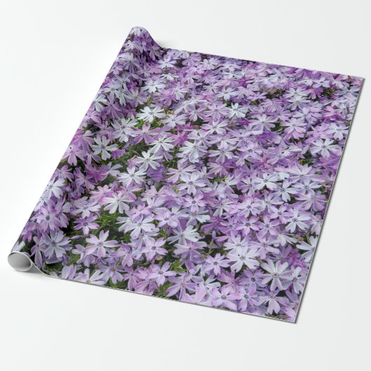 Lila Phlox-Garten Geschenkpapier (Ungerollt)